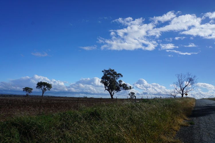 DSC06498