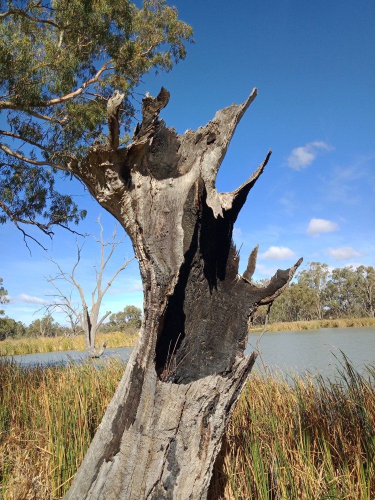 IMG20190525122309 (1)